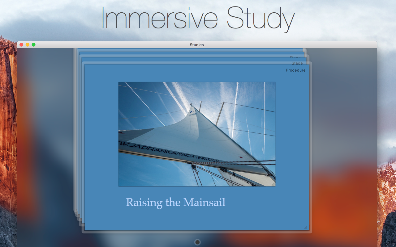 Studies — flashcard study session